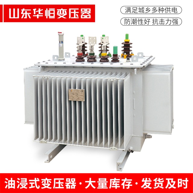 S13-10000/35饶阳饶阳饶阳电力变压器